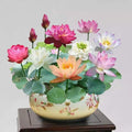 A Sagrada Flor de Lótus Bonsai