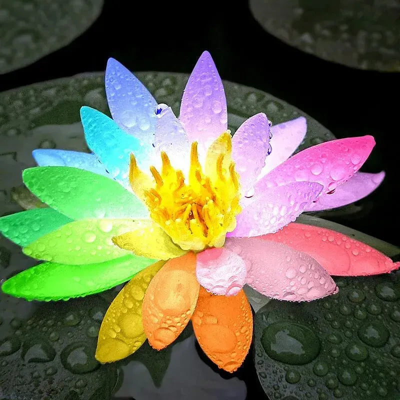 A Sagrada Flor de Lótus Bonsai